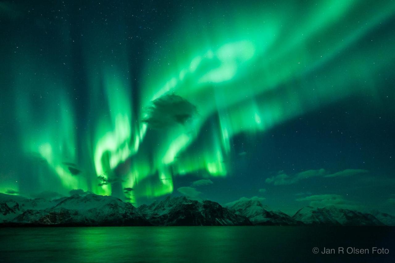 Lyngenfjord, Froyas Hus Vila Olderdalen Exterior foto