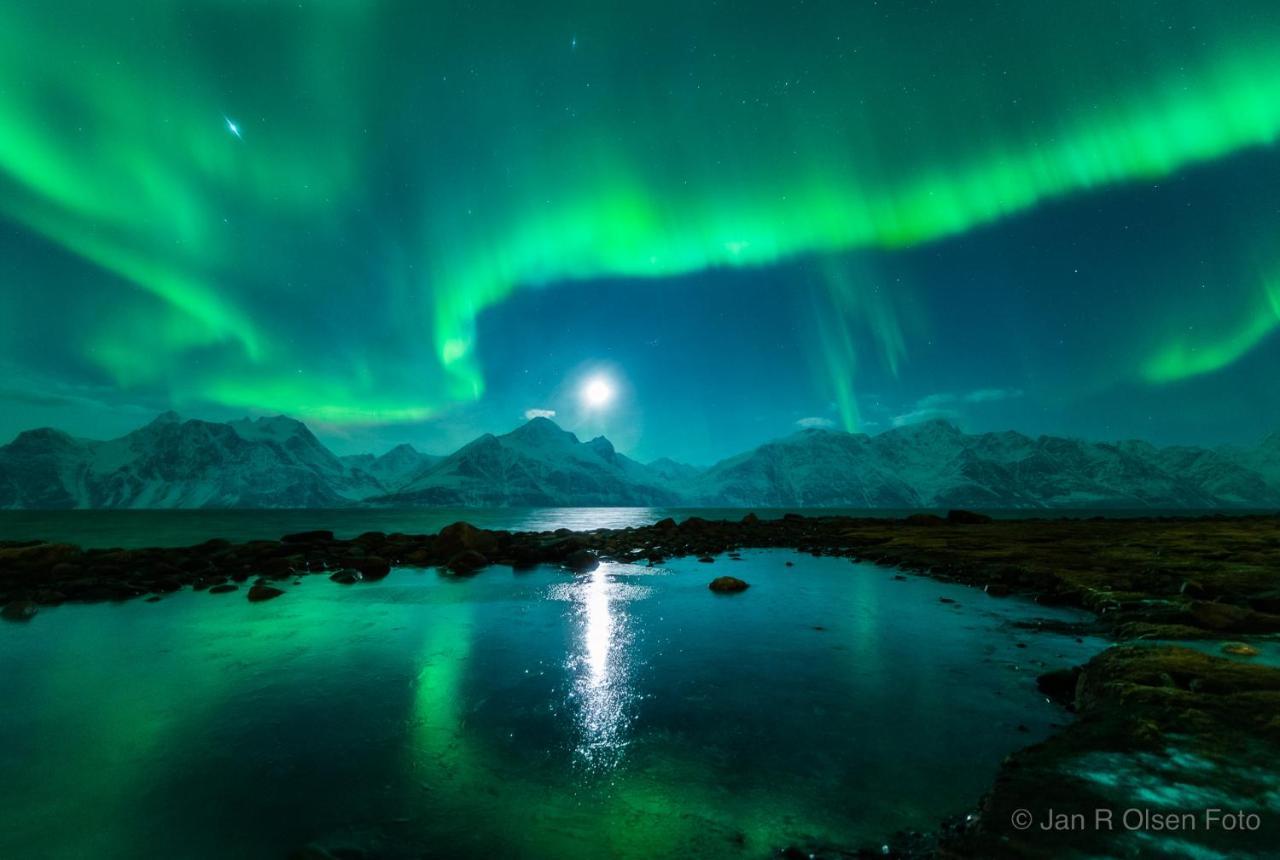 Lyngenfjord, Froyas Hus Vila Olderdalen Exterior foto